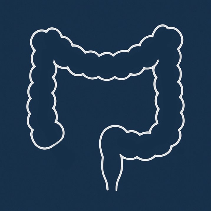 کولونوسکوپی